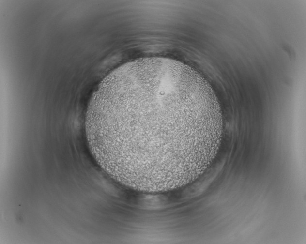 X0000112380277200909031959