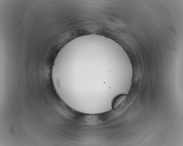 X0000112380279200909031959