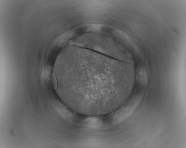 X0000112380280200909031959