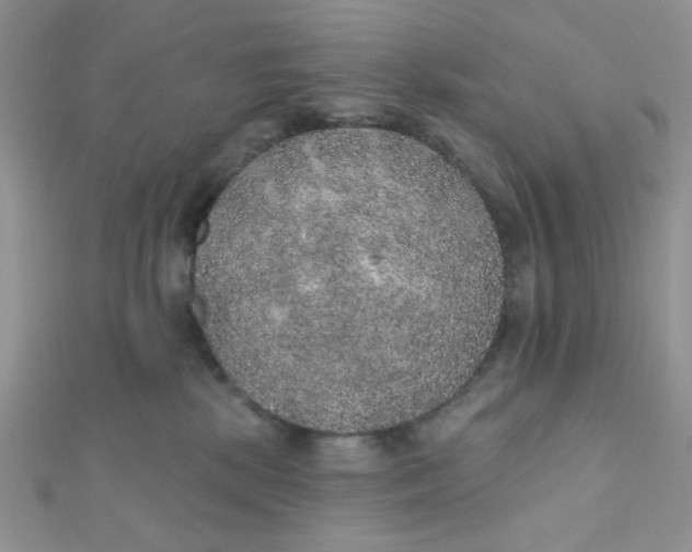 X0000112380281200909031959