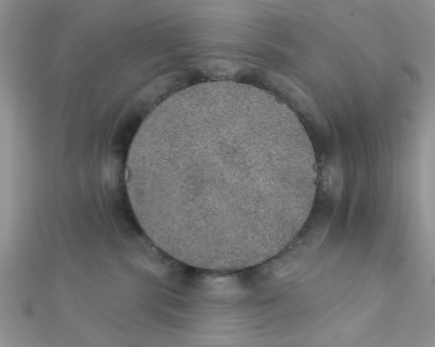 X0000112380283200909031959