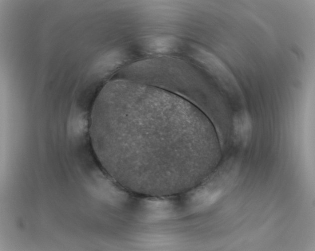 X0000112380284200909031959