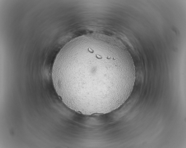 X0000112380285200909031959