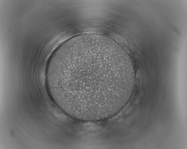 X0000112380290200909031958