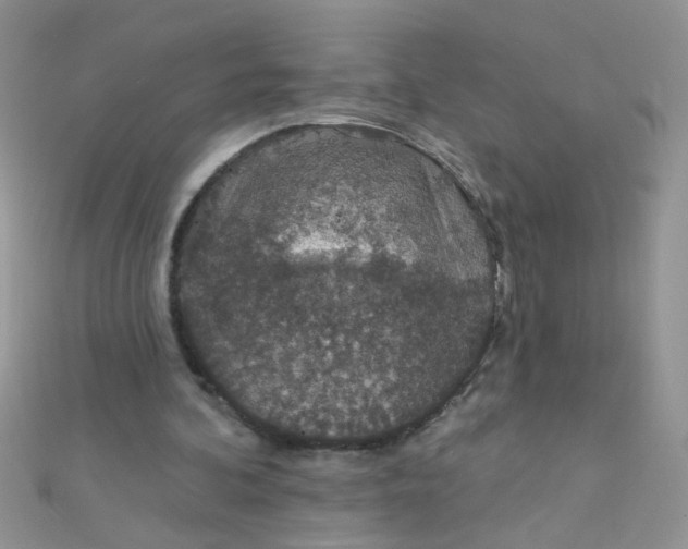 X0000112380292200909031958