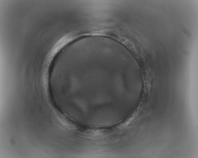 X0000112380295200909031958