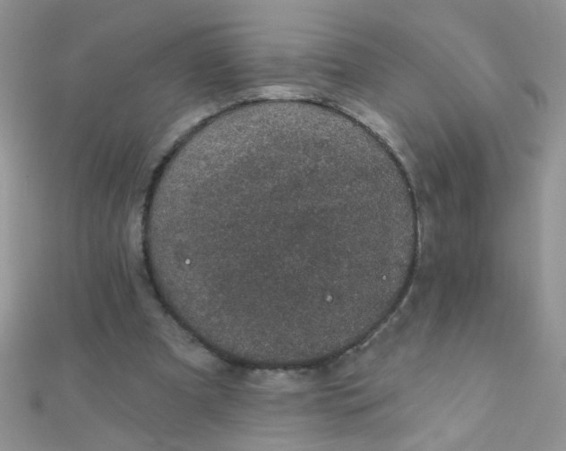 X0000112380297200909031958