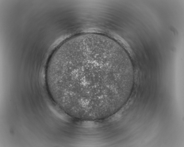 X0000112380298200909031958