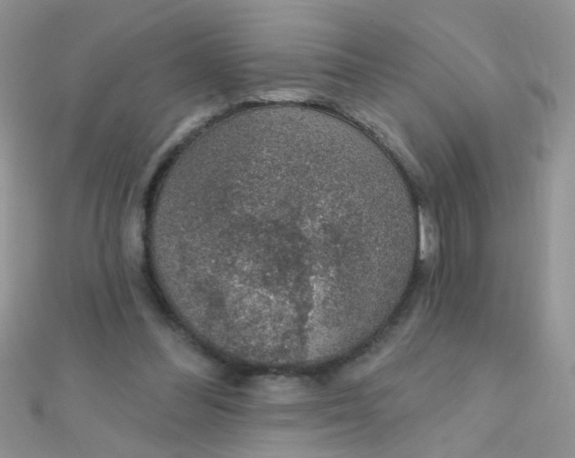 X0000112380300200909031958