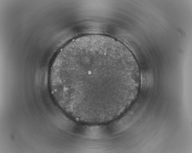 X0000112380301200909031958