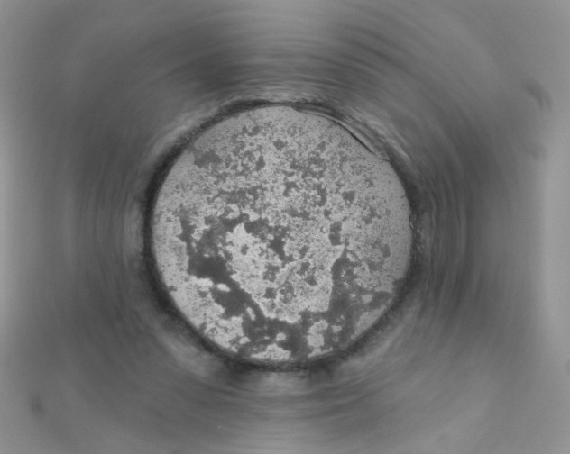 X0000112380303200909031958