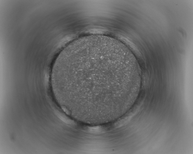 X0000112380309200909031958