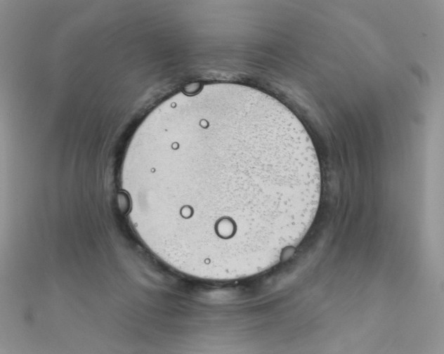 X0000112380312200909031958