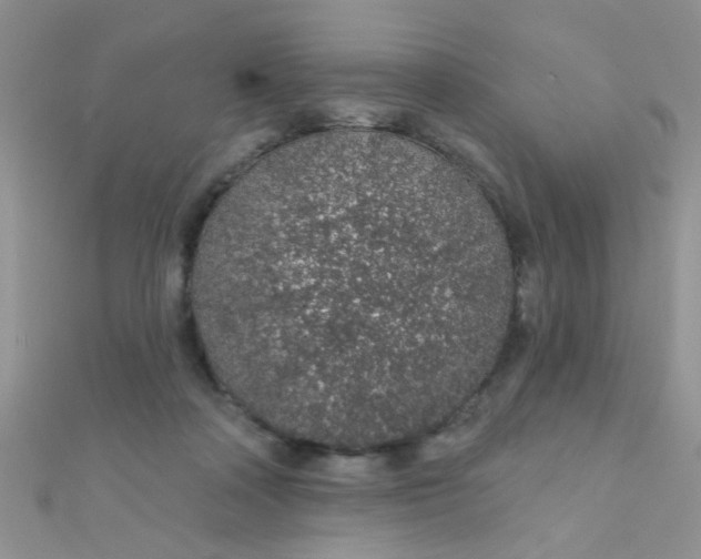 X0000112380314200909031958