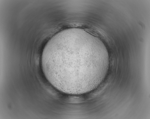 X0000112380315200909031958