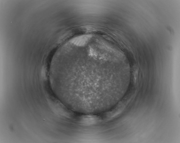 X0000112380316200909031958