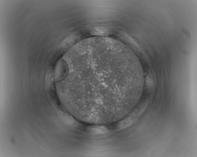 X0000112380322200909031958