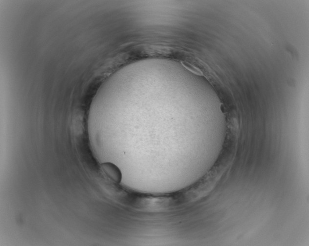 X0000112380323200909031958