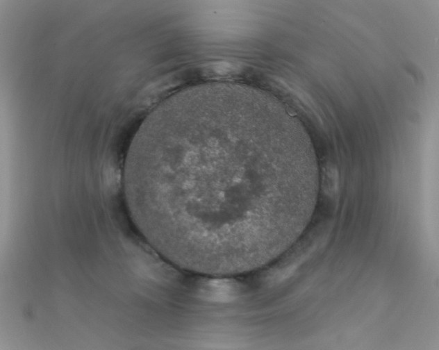 X0000112380324200909031958