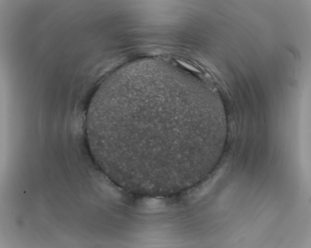 X0000112380325200909031958