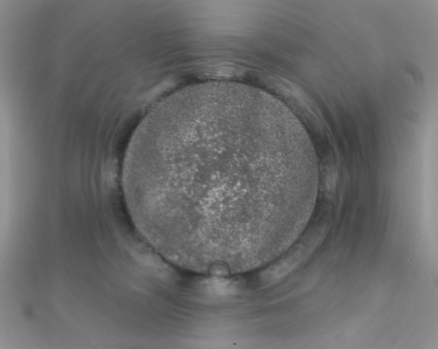 X0000112380326200909031958