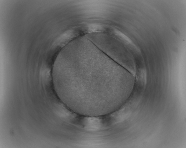 X0000112380327200909031958