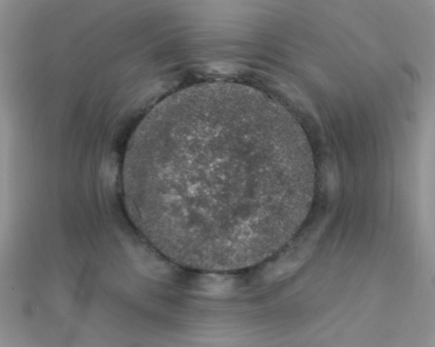 X0000112380328200909031958