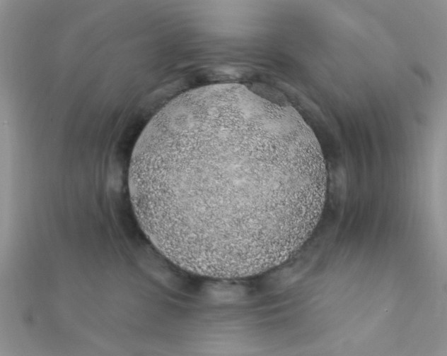 X0000112380331200909031958