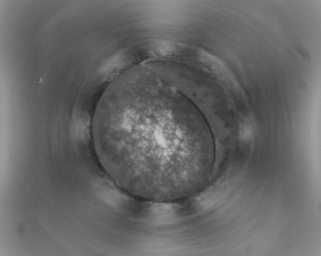 X0000112380332200909031958