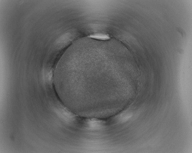 X0000112380336200909031958