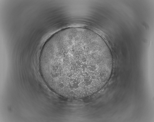 X0000112380337200909031957