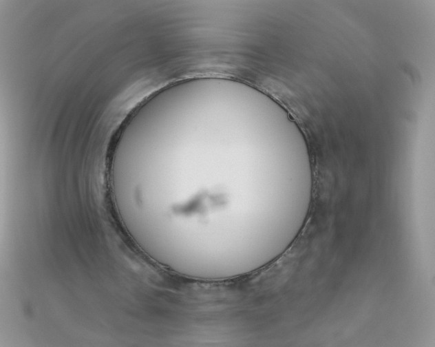 X0000112380338200909031957