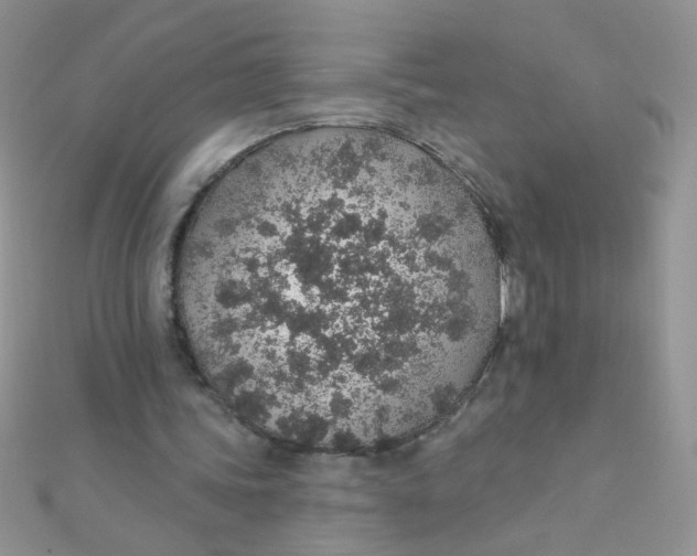 X0000112380339200909031957