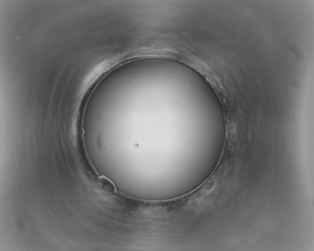 X0000112380340200909031957