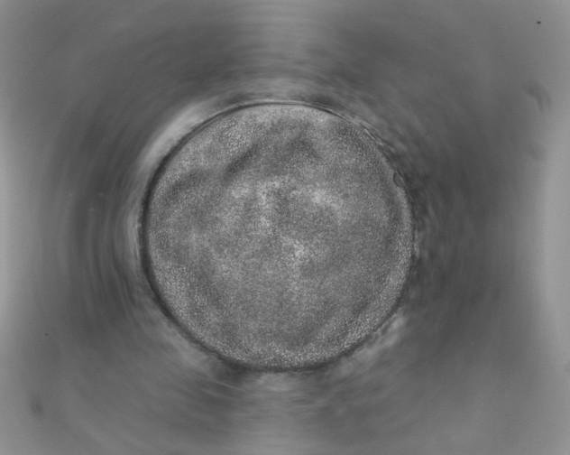 X0000112380341200909031957