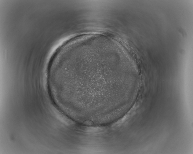 X0000112380342200909031957