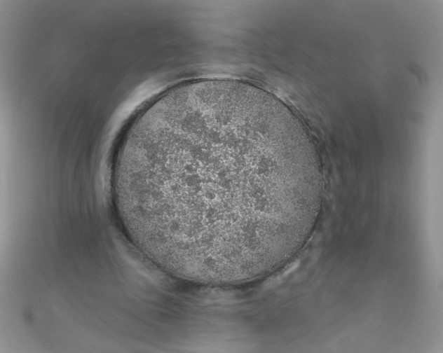 X0000112380343200909031957