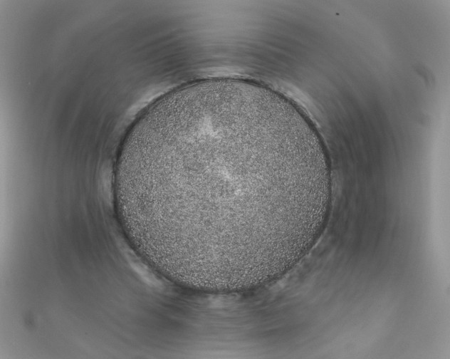 X0000112380345200909031957