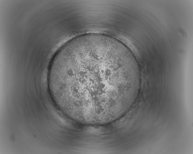 X0000112380346200909031957