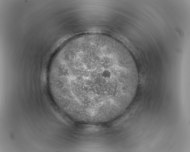 X0000112380347200909031957