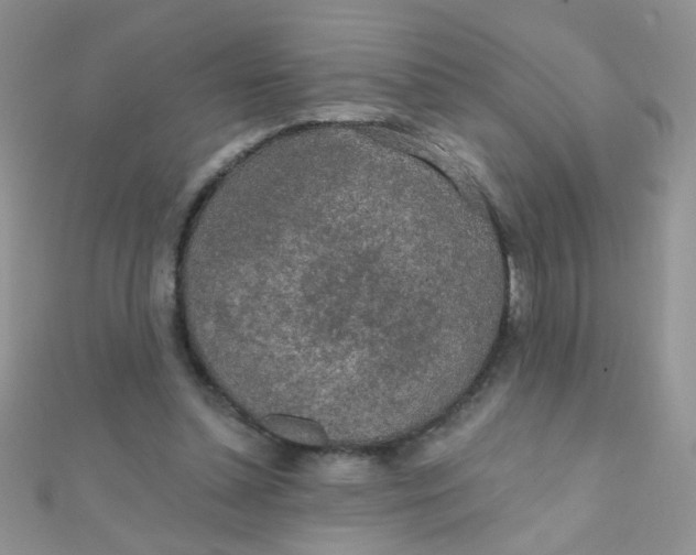 X0000112380348200909031957