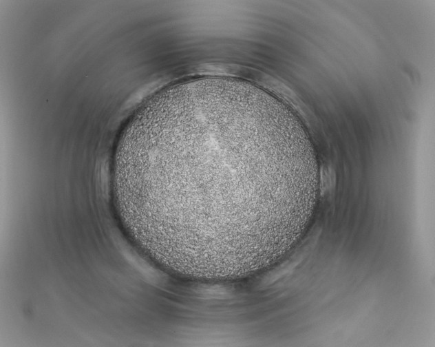 X0000112380349200909031957