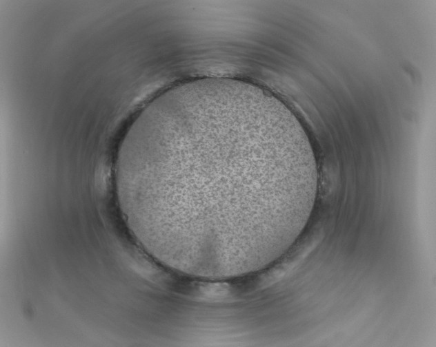 X0000112380355200909031957