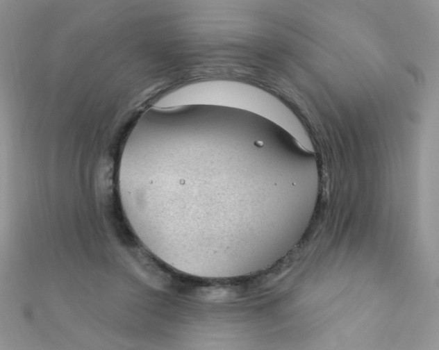 X0000112380356200909031957