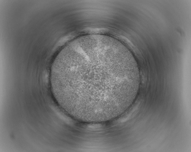 X0000112380357200909031957