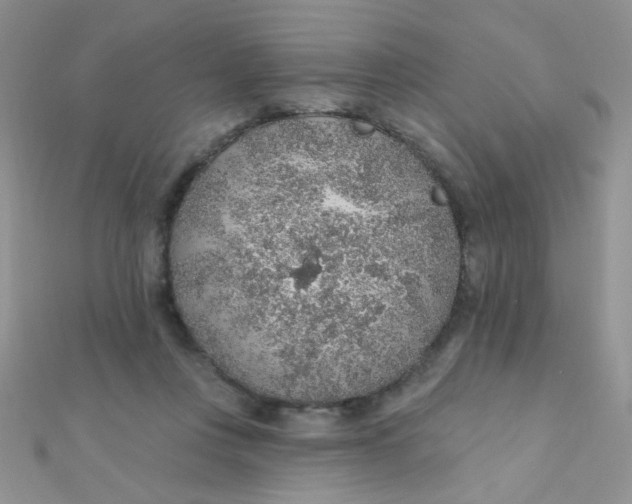 X0000112380359200909031957