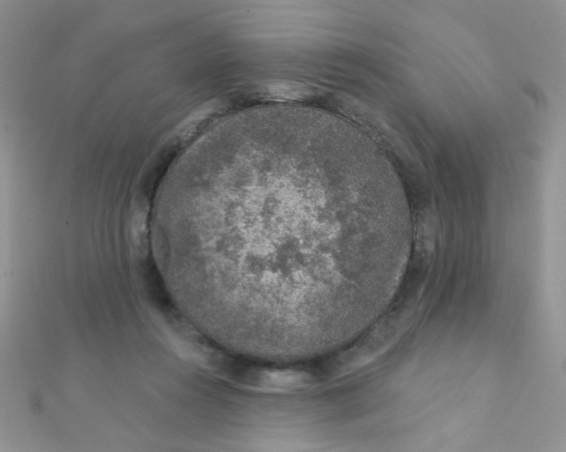 X0000112380360200909031957