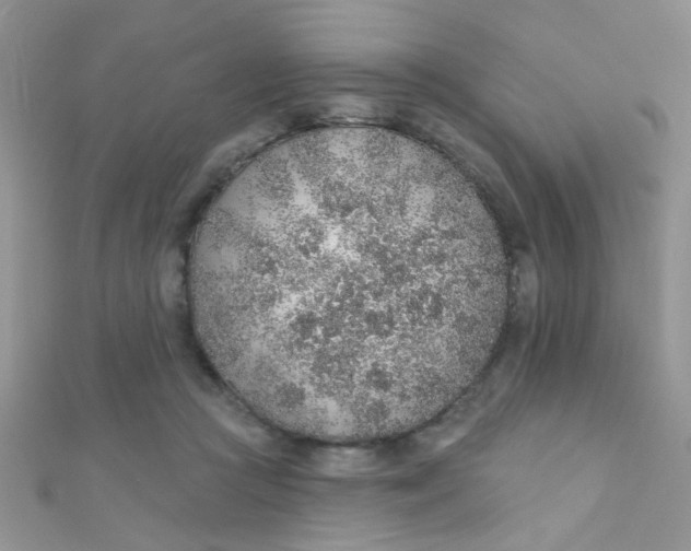 X0000112380361200909031957