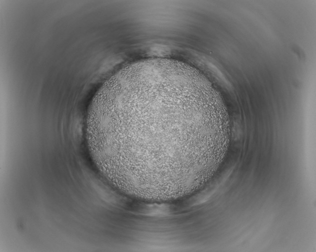 X0000112380363200909031957