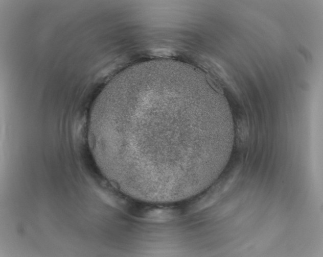 X0000112380364200909031957